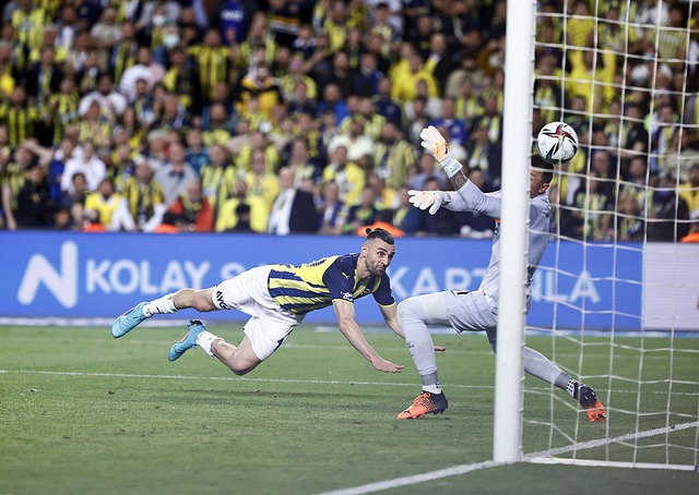 不仅如此 不仅如此