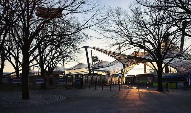 中的价值 中的价值