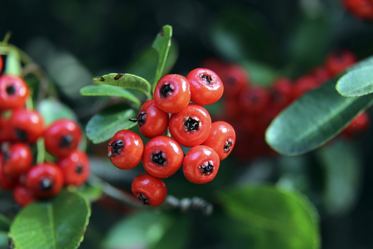 不断的努力 不断的努力