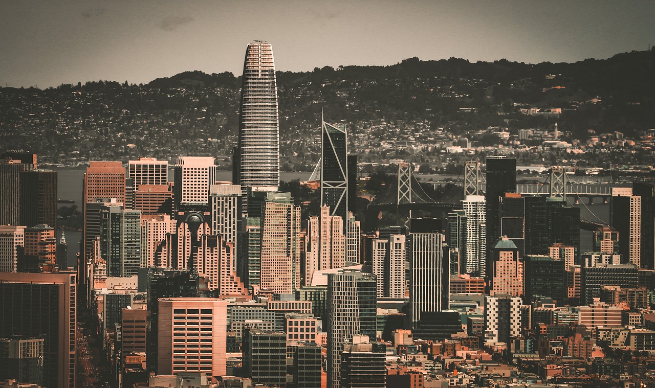 直以其优雅 直以其优雅