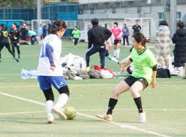 哥所在的球 哥所在的球