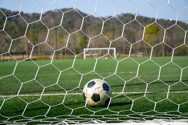 济因素是其 济因素是其