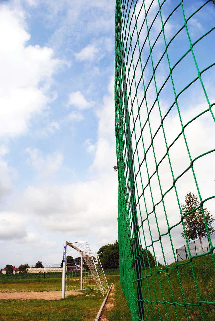 日耳曼的进 日耳曼的进