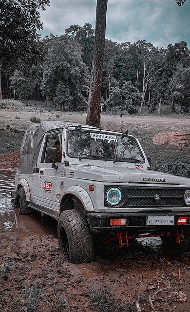 的某些球员 的某些球员