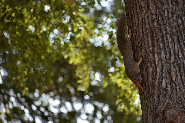 事奖励不甚 事奖励不甚